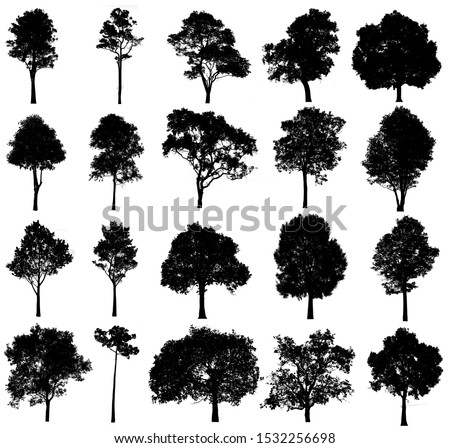 collections black tree isolated. silhuette tree isolated on white background.