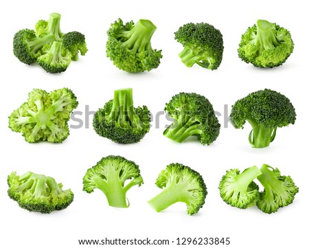 Collections of Fresh broccoli blocks for cooking isolated on white background.