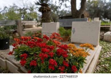 A collective cemetery, a pair of graves with a large geranium pot - Shutterstock ID 2277468519