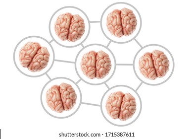 Collective consciousness. Communication and networking of human brains. Organs are isolated on a white background. - Shutterstock ID 1715387611