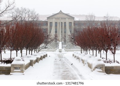 554 Berry college Images, Stock Photos & Vectors | Shutterstock