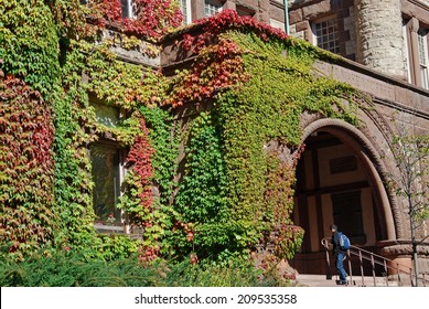 College Building With Colorful Fall Ivy