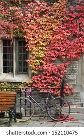 College Building With Fall Ivy