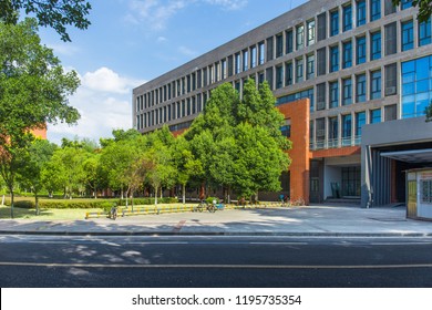 College Campus Grass Park And School Building In Sunny Summer