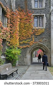 College Campus With Ivy Covered Buildings In Fall