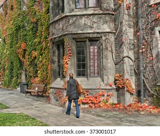 College Campus With Ivy Covered Buildings In Fall