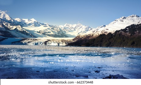 College Fjord