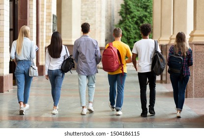 College friends walking together in hall after studies, having break, back view