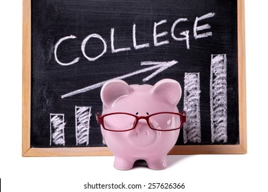 College Fund Concept.