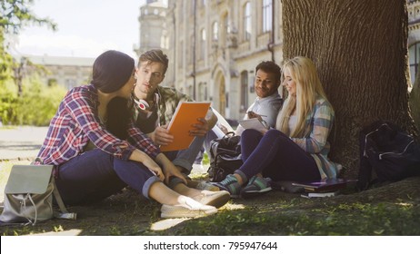 College students having discussion under tree on campus, preparing for exams - Shutterstock ID 795947644