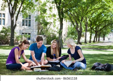 College Students Studying Together In Campus Ground