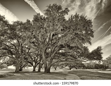 Colleton River Plantation, Beaufort County, SC.