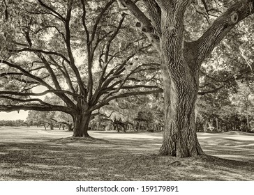 Colleton River Plantation, Beaufort County, SC.