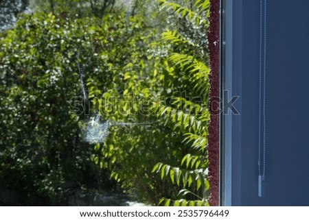 Similar – Foto Bild Sicherheit ist hier wohl kein Thema mehr. Eine defekte Steckdose wurde in einem Lost Place farbenfroh verschönert.