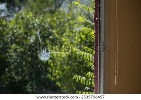 Similar – Foto Bild Sicherheit ist hier wohl kein Thema mehr. Eine defekte Steckdose wurde in einem Lost Place farbenfroh verschönert.