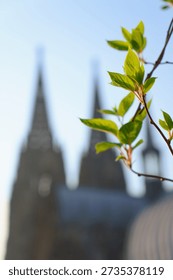 Cologne Cathedral background in the Spring