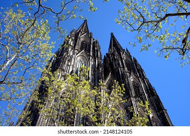 Cologne Cathedral In Spring From An Unusual Angle