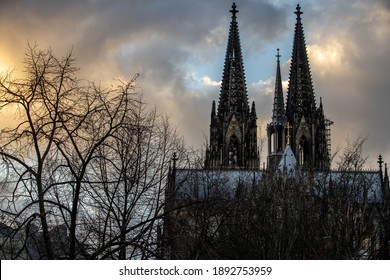 Cologne Cathedral And Trees In German Winter At Sunset