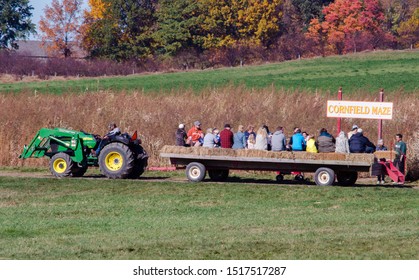 Coloma Michigan USA ,October 25, 2015; Families Ride On A Tractor Pulled Hay Wagon, All Around A Michigan Apple Farm And Over To A Fun Corn Field Maze