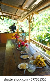 Colombia Coffee Farm Tour In Salento