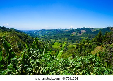 Colombia Coffee Farm Tour In Salento