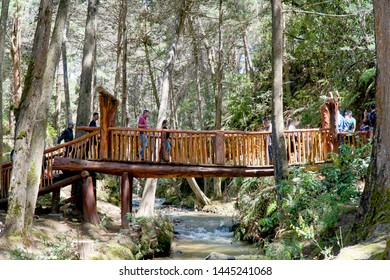 Medellín, Colombia; July 07 2019: People Enjoy A Healthy Trip In The Public Park Arvi In The City Of Medellin, With A Lot Of Trees, Wood Bridge And A River