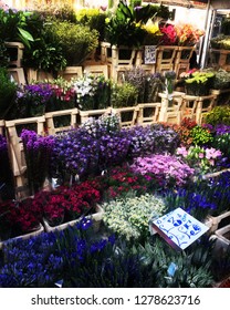 Colombia Road Flower Market