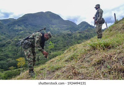 33,124 Soldier tree Images, Stock Photos & Vectors | Shutterstock