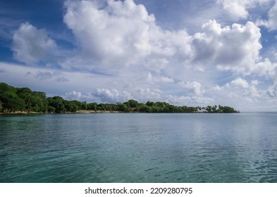 Colombian Beach Where Jungle Predominates