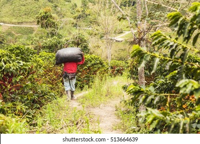 Colombian Coffee