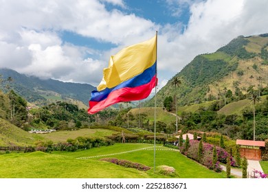 Colombian flag in the national park