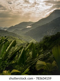 Colombian Jungle - Lost City Trek