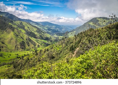 colombian landscape, green mountains in colombia, latin america, palms and coffee in colombia