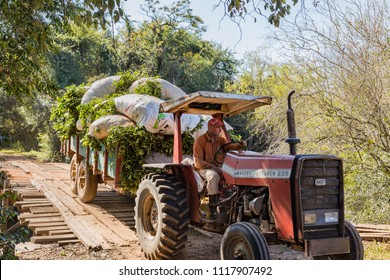 Colonia Independencia, Paraguay - June 20, 2018: Farmer with tractor in Paraguay drives over a winding wooden bridge.