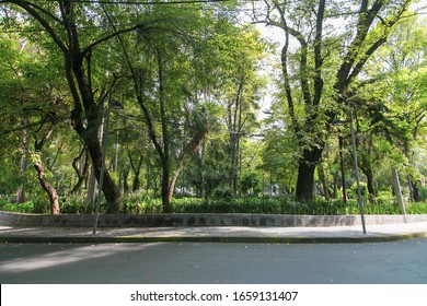 Colonia Roma In Rio De Janeiro Square In Mexico City