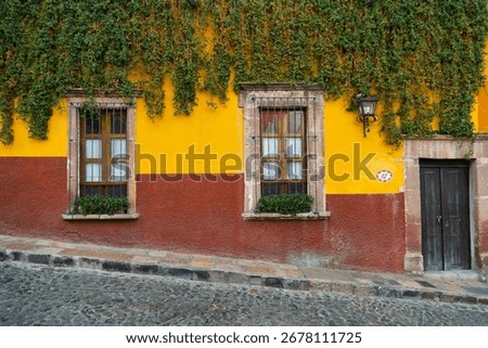 Colonial facade with ivy, window boxes and stone-framed door in historic center of San Miguel de Allende, Mexico