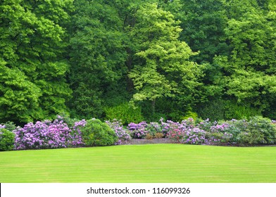 Colonial parc in Brussels, Belgium with blossoming rhododendrons