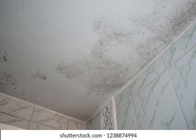Royalty Free Ceiling Water Damage Stock Images Photos