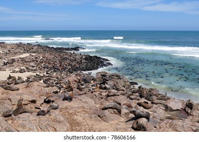 Colony Of Seals On Cape Cross, Namibia,