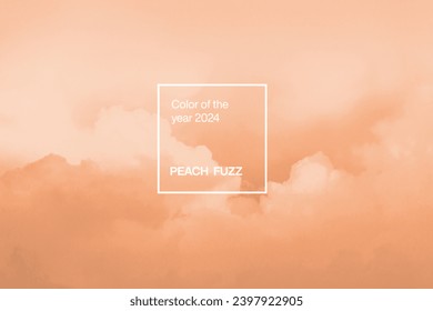 color 2024 Peach Fuzz background