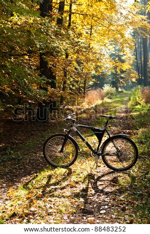 Similar – Image, Stock Photo Woman with a bike in the middle of the forest.