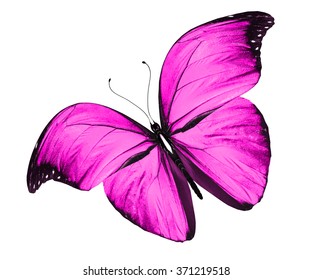 102,880 Pink butterfly isolated Images, Stock Photos & Vectors ...