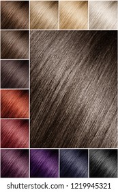 1000+ Hair Color Chart Stock Images, Photos & Vectors ...