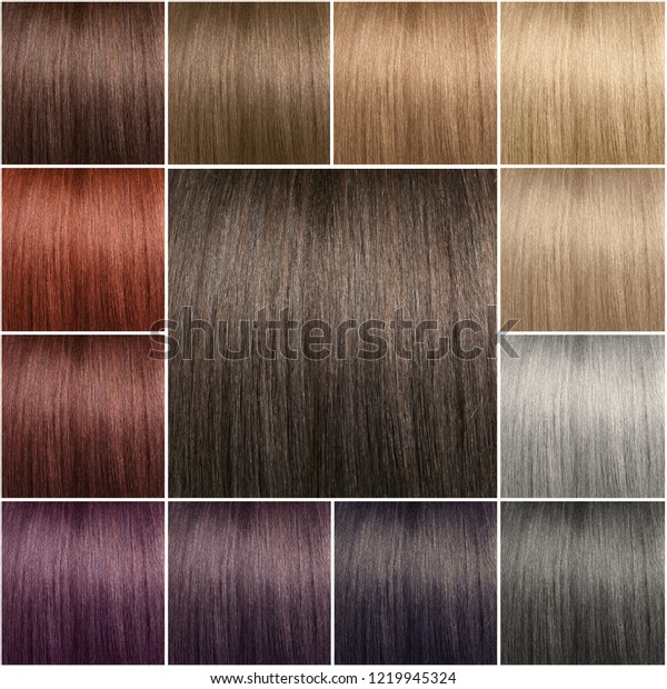 Color Chart Tints Hair Color Palette Stock Photo Edit Now