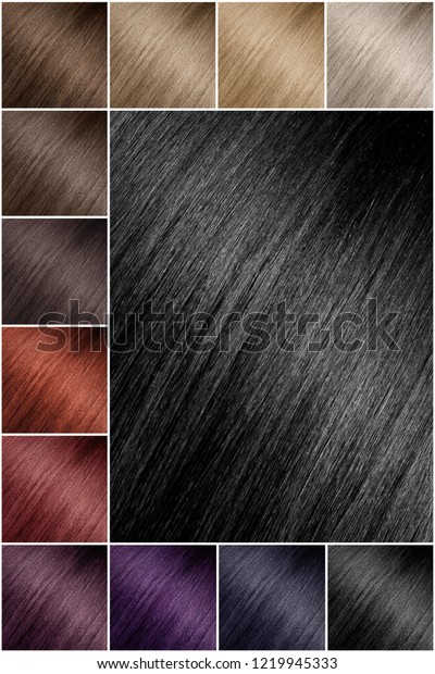 Color Chart Tints Hair Color Palette Stock Photo Edit Now 1219945333