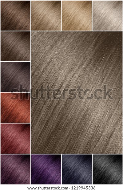 Color Chart Tints Hair Color Palette Stock Photo Edit Now 1219945336