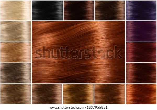 Color chart
for tints. Hair color palette with a wide range of swatches. Dyed
hair color samples arranged on a card in neat rows. Tints. Colour
set. Hair texture in diferent
colours.