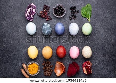 Color Easter eggs painted with natural organic dye. Eco friendly concept