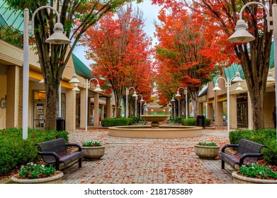 Color Fall Foliage In A Public Walkway In A Shopping Mall In Howard County, Columbia, MD