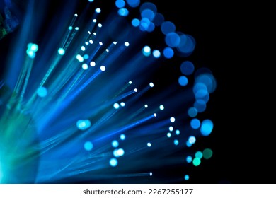 Стоковая фотография: Color fiber optical background on black, Fiber optics lights abstract background, Closeup, fiber optics on defocused background. 